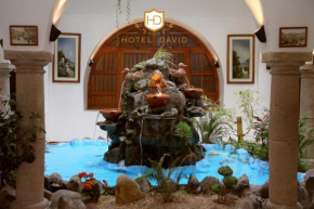 Hotel David